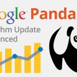 Cómo afectará Google Panda 4.0 al posicionamiento web