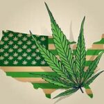 Finding the Best Marijuana Legalization